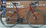 Xe đạp đua Giant CONTEND 1 2024***
